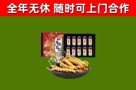顺义区烟酒回收冬虫夏草礼盒.jpg